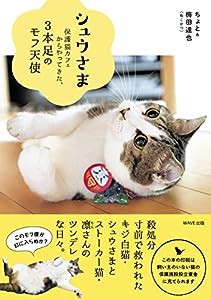 シュウさま-保護猫カフェからやってきた3本足のモフ天使-(中古品)