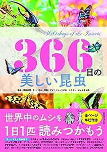 366日の美しい昆虫 (366日の教養シリーズ)(中古品)