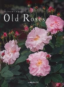 オールドローズ好きのOld Roses(中古品)