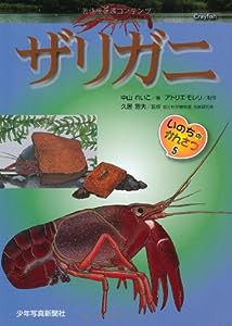 ザリガニ (いのちのかんさつ)(中古品)