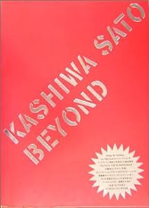 BEYOND—KASHIWA SATO(中古品)