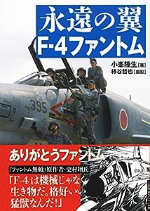 永遠の翼 F-4ファントム(中古品)