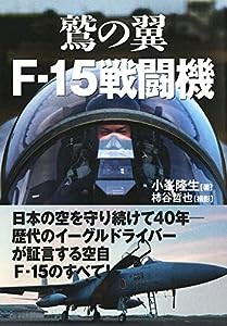 鷲の翼 F-15戦闘機(中古品)