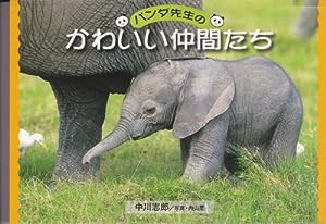 パンダ先生のかわいい仲間たち (三育図書教育シリーズ)(中古品)