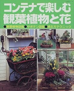 コンテナで楽しむ観葉植物と花—観葉植物図鑑 サボテン図鑑 植え方テクニック (レッスンシリーズ)(中古品)