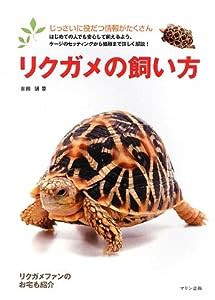 リクガメの飼い方 (アクアライフの本)(中古品)