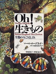 Oh!生きもの―生物のみごとなしくみ(中古品)