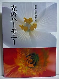 光のハーモニー―渡辺仁雄写真集 (BeeBooks)(中古品)