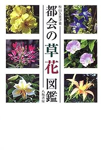 都会の草花図鑑(中古品)