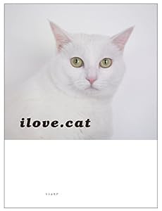 ilove.cat(中古品)