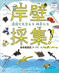 岸壁採集! 漁港で出会える幼魚たち (ときめき×サイエンス)(中古品)