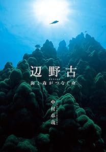 辺野古ー海と森がつなぐ命(中古品)