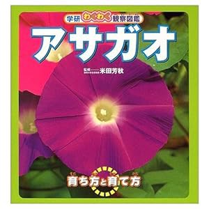 アサガオ (学研わくわく観察図鑑)(中古品)