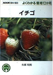 イチゴ (NHK趣味の園芸 よくわかる栽培12か月)(中古品)