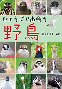 ひょうごで出会う 野鳥(中古品)