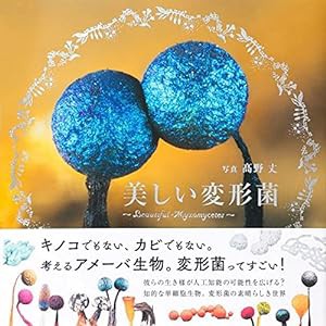 美しい変形菌(中古品)