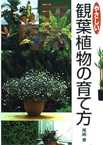 やさしい観葉植物の育て方(中古品)