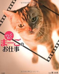 テレビねこ まーごのお仕事(中古品)