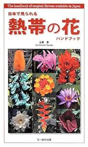 日本で見られる熱帯の花ハンドブック(中古品)