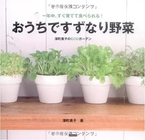 一年中、すぐ育てて食べられる! おうちですずなり野菜(中古品)