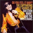 Do You Feel It Baby ?(中古品)