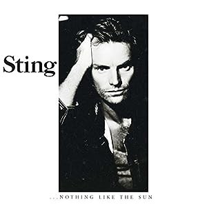 Nothing Like the Sun(中古品)