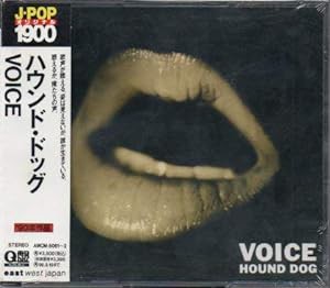 VOICE(中古品)