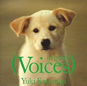 Voices~グリーン~(中古品)
