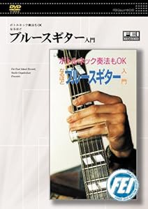 ボトルネック奏法もOKなるほど ブルースギター入門 [DVD](中古品)