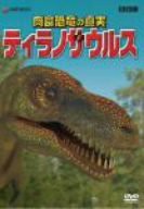 肉食恐竜の真実「ティラノサウルス」 [DVD](中古品)