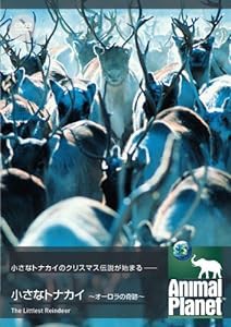 アニマル・プラネット 小さなトナカイ ~オーロラの奇跡~ [DVD](中古品)