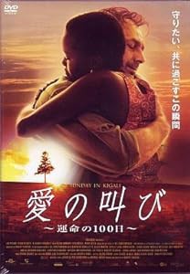 愛の叫び ~運命の100日~ [DVD](中古品)