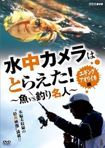 水中カメラはとらえた! 魚VS釣り名人 エギング アオリイカ編 [DVD](中古品)