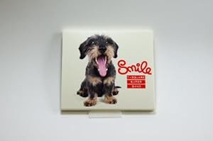 Smile(DVD付)(中古品)