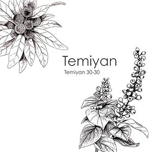 TEMIYAN 30-30(中古品)