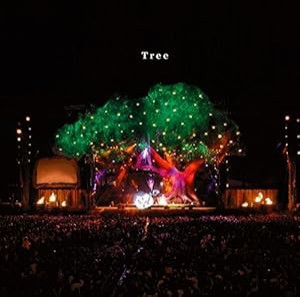 Tree(通常盤)(中古品)