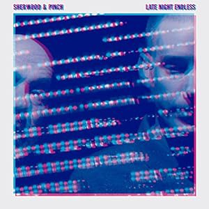 Late Night Endless [帯解説・ボーナストラック1曲収録 / 国内盤] (BRC452)(中古品)