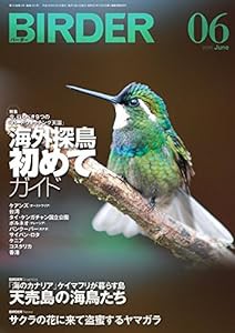 BIRDER(バーダー)2016年6月号 海外探鳥 初めてガイド(中古品)