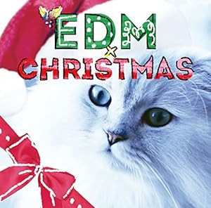 EDM×CHRISTMAS(2CD)(中古品)
