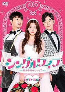 シングルワイフ~私の幸せはどっち?~DVD-BOX(中古品)