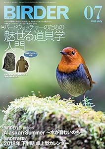 BIRDER(バーダー)2018年7月号 バードウォッチャーのための魅せる道具学入門(中古品)