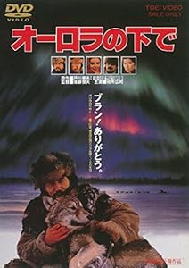 オーロラの下で [DVD](中古品)