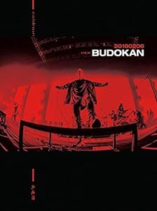 20180206 LIVE AT BUDOKAN(初回限定盤)（DVD+2CD+フォトブック）(中古品)