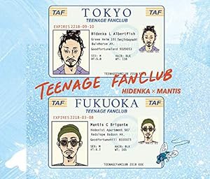 TEENAGE FANCLUB(中古品)