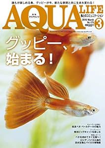 月刊アクアライフ 2019年03月号 グッピー、始まる!(中古品)