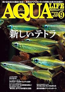 月刊アクアライフ 2019年 09 月号 新しいテトラ(中古品)