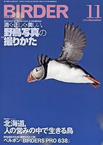 BIRDER(バーダー)2019年11月号 清く・正しく・美しい、野鳥写真の撮りかた(中古品)