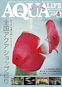 月刊アクアライフ 2020年 04 月号 全国アクアショップ巡り(中古品)