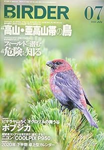 BIRDER(バーダー)2020年7月号 高山・亜高山帯の鳥/フィールドに潜む危険を知る(中古品)