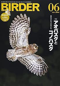 BIRDER 2021年 06 月号 [雑誌](中古品)